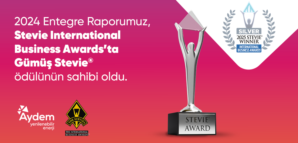 Entegre Raporumuza &lsquo;G&uuml;m&uuml;ş Stevie&reg;&rsquo; &Ouml;d&uuml;l&uuml;!